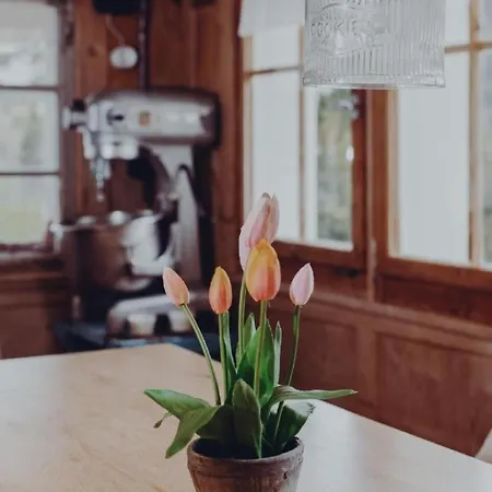 Dom wakacyjny Lindeli By Interhome